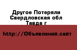 Другое Потеряли. Свердловская обл.,Тавда г.